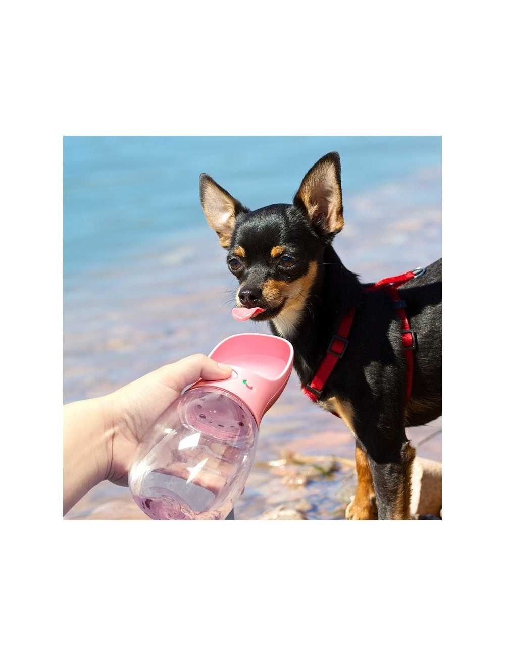 Dispensador de agua para mascotas