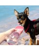 Dispensador de agua para mascotas