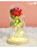 Rosas con domo de vidrio y luces LED