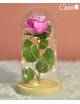 Rosas con domo de vidrio y luces LED