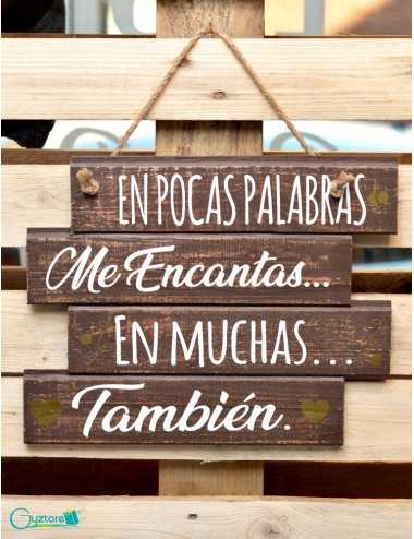 Cuadro artesanal "Todo lo que espero del amor"
